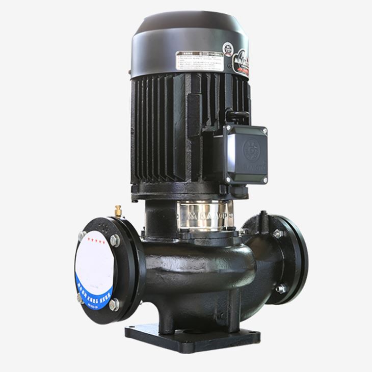 Centrifugal Pump With Vertical Axis